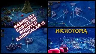 Karıncalar coşanzi | Microtopia | TÜRKÇE | 2024