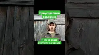 Что такое Хлороз