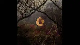 (free) alternative indie + acoustic type beat 