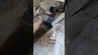 Наша база