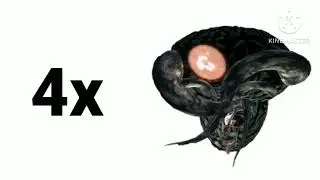 Bob Bob Beb 4x Super Speed From Animation World 76⏩