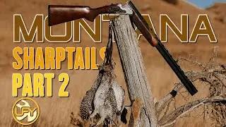Montana Sharptails! Part 2 | Hunting with a pointing dog and retriever