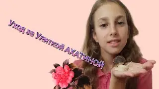 Как правильно УХАЖИВАТЬ за Улиткой АХАТИНОЙ? Советы и Пример свой собственный.