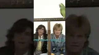 Modern Talking Promo Video Denmark TV 1985