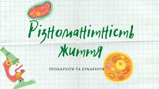 Різноманітність життя