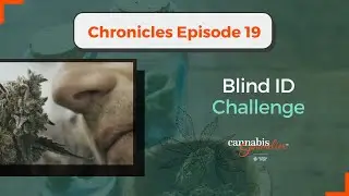 Blind Identification Challenge with Certified Cannabis Sommeliers | CHRONICLES Ep 19