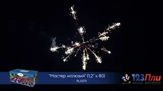 PLI1273 мастер иллюзий