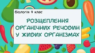Біологія 9 клас Розщеплення органічних речовин у живих організмах