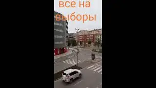 все на выборы