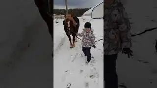 Конная прогулка. Лошадь и ребёнок.