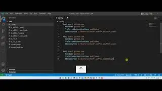 Multiple github accounts