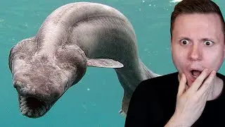 SJUK FAKTA OM HAJAR!