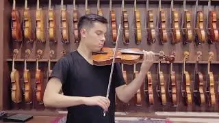 Stefano Conia, Cremona 1981 | Violin Demonstration