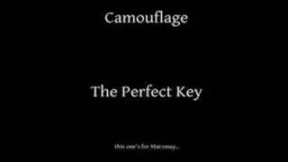 Camouflage - The Perfect Key