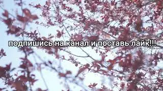 Классный блог Природа поездка в город Ковров по работе!!!