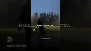 Интересные факты