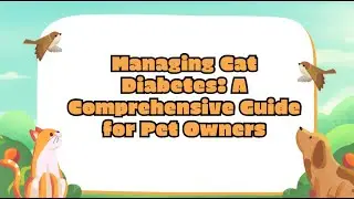 Managing Cat Diabetes: A Comprehensive Guide for Pet Owners | Feline Diabetes Tips & Care