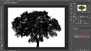 Photoshop CC - Alpha Kanalı ile Arkaplan Temizleme