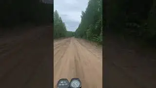 Поехали с нами за грибами 😐