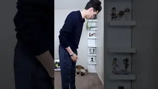 My cat’s a GRWM crasher 🫠