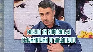 Комаровский о возможности заражения глистами от животных