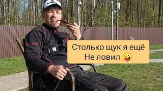 эта Лужа просто Кипит Крупной Щукой