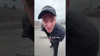 Какая больше всего понравилась?#shorts
