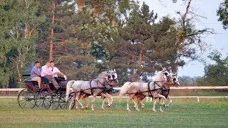 Nema više starog Banata - Tamburaški Sastav Panuka