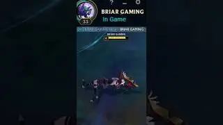 briar gaming  