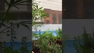 De nuevo fuerte aguacero en la ciudad de Bogotá￼