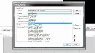 Production Assistant 2 for Sony Vegas Pro - Overview