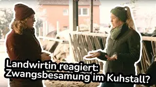 Landwirtin reagiert: Zwangsbesamung und Vergewaltigung bei Kühen?