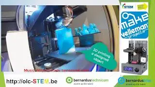 Timelapse : 3D printing, Vertex Nano (K8600)