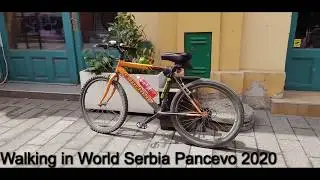 Walking in World Serbia Pancevo 2020