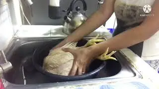 Pagkatay ng manok