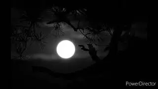 Midnight - TRIPLE JC