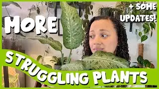 MORE Struggling Plants?! | And Planty Updates 🌱
