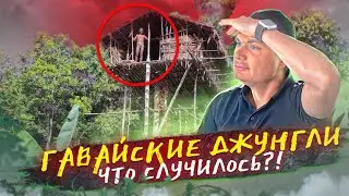 Жизнь на Гавайях в Америке. Джунгли, пляжи, какие они? Иммиграция в США. Влог из США.