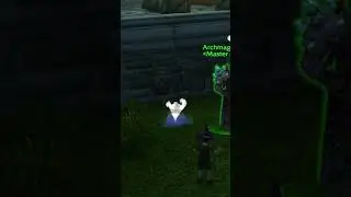 I didn't even know this was a thing #shorts #worldofwarcraft #wow