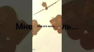 28 ноября 2023 г.