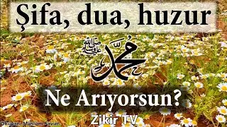 Bu Duayı Eden Ne İsterse Elde Eder |   Zikir ve Salavat