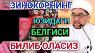 ЗИНОКОРНИ ЮЗИДАГИ БЕЛГИЛАРИ - МУФТИЙ НУРИДДИН ХОЖИ ДОМЛА 2022