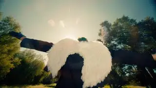 Destroy Boys - Plucked (Official Music Video)