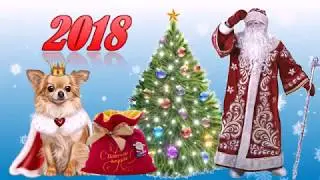 САНКТ-ПЕТЕРБУРГ 2018