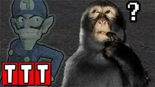 Wo ist denn der Zombey hin? | TTT