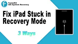 How to Fix iPad Stuck in Recovery Mode 2023