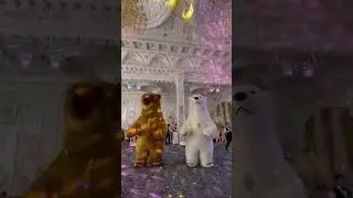 #bear #wedding #поздравление