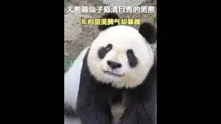 cub