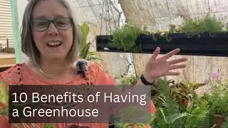 10 Benefits of Having a Greenhouse