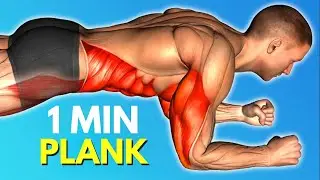 I Did A 1 Minute Plank Every Morning And This Happened To My Body